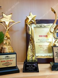 cúp trao thưởng kim loại