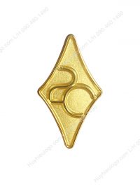 Pin cài áo logo công ty kỷ niệm 20 năm