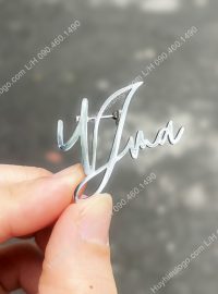 Pin cài áo logo đúc theo hình chữ